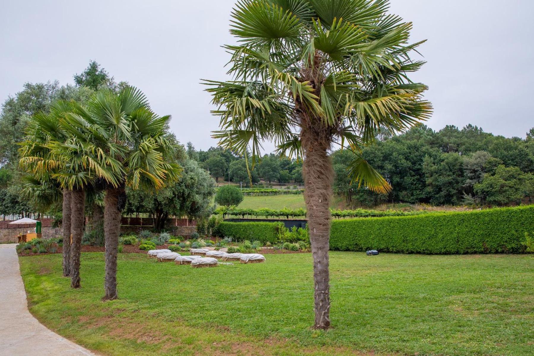 Casa Con Encanto Merza ภายนอก รูปภาพ